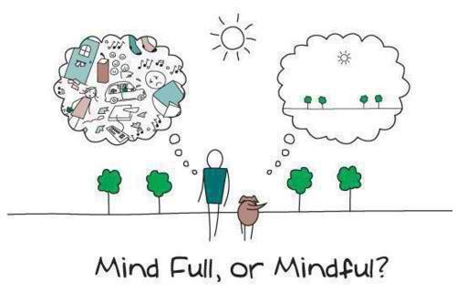 MEDITATION VS MINDFULNESS