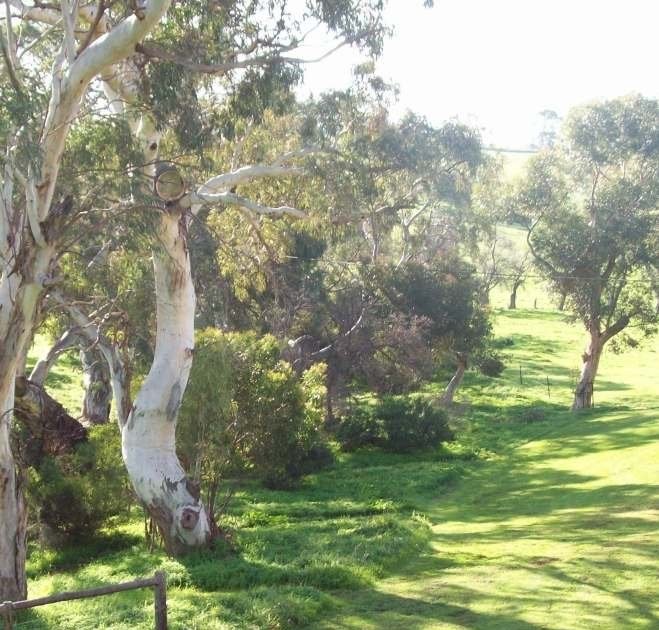Glenbarr retreat – pristine bushland near Strathalbyn