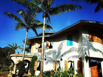 The main house behind the palms